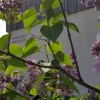 20180428_152708