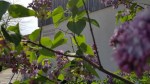 20180428_152708